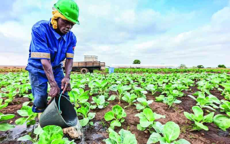 Give agriculture and manufacturing more policy attention now