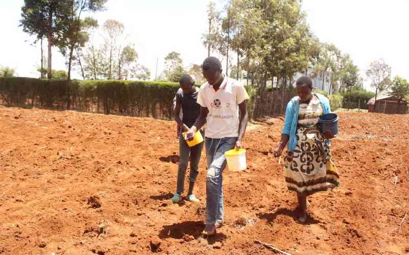 Kenya Seed Company advises maize farmers to start planting