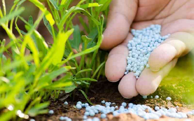 Go beyond fertiliser subsidy to boost food security