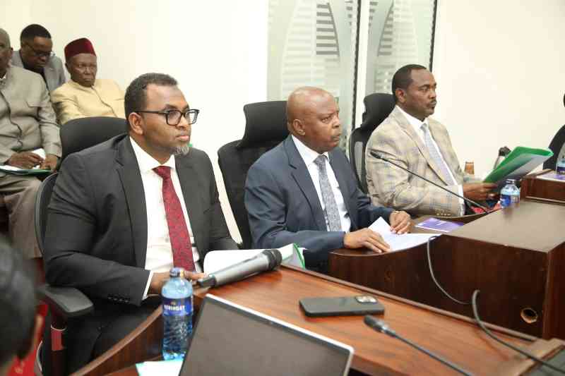 MPs question sale of Portland shares to Tanzanian tycoon at half market price