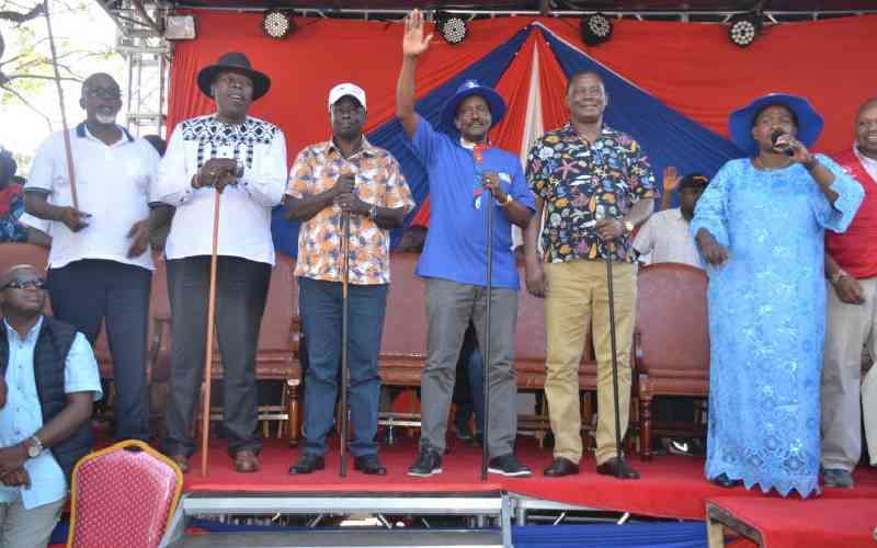 Criteria 'united opposition' can use to identify their flag-bearer