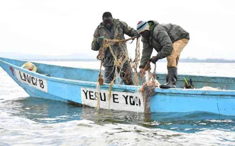 Lake Naivasha fishermen back temporary fishing restrictions to restore stocks