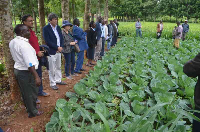 UN Allocates Sh19 B to Improve Kenya Farmers' access to finance
