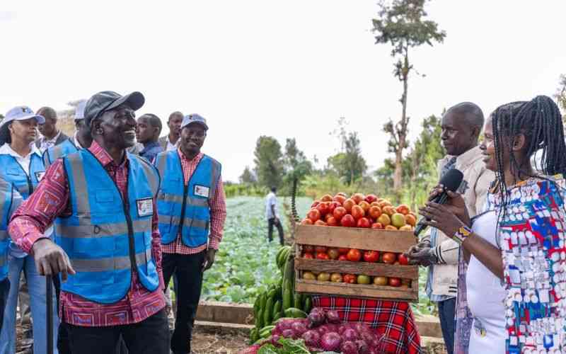 Stop misleading Kenyans; Ruto has delivered on most of his pledges