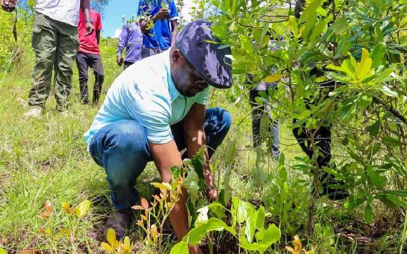 PS calls for tree planting to ...