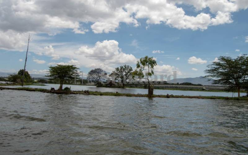 Teenager drowns in Lake Naivasha