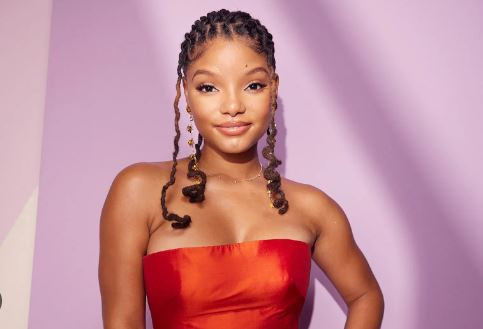 Halle Bailey claps back at trolls amid pregnancy speculation