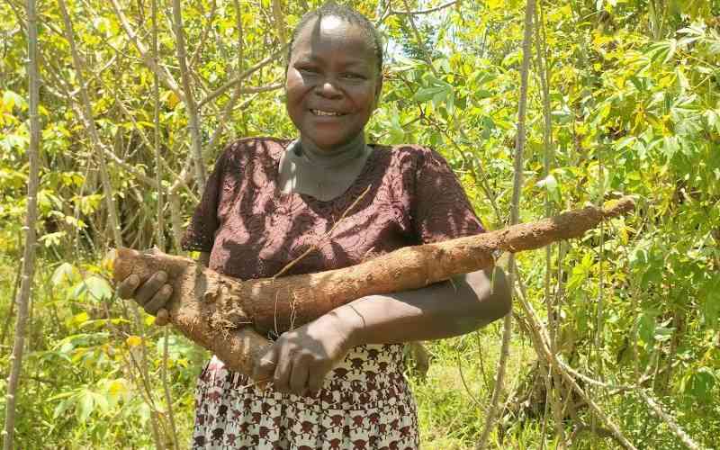 Kakamega model farmer catches the eye of agriculture's big boys