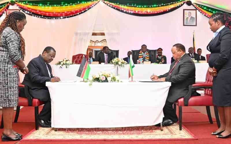 Zimbabwe backs Raila Odinga's AU Commission chairmanship bid