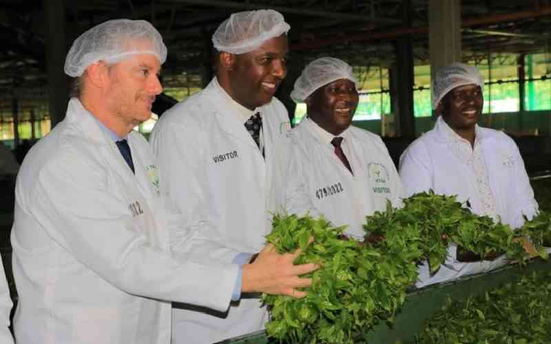 Stakeholders seek to make Kenyan tea top brand in the global market
