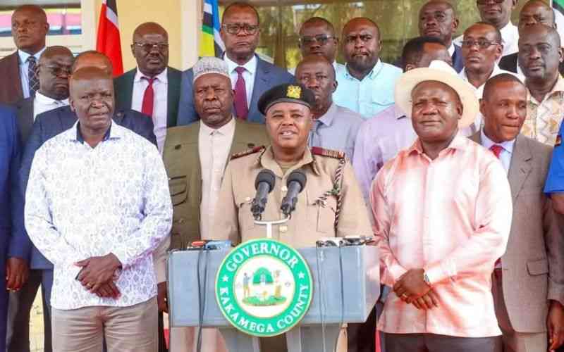 Kakamega chiefs in a spot over cattle theft menace