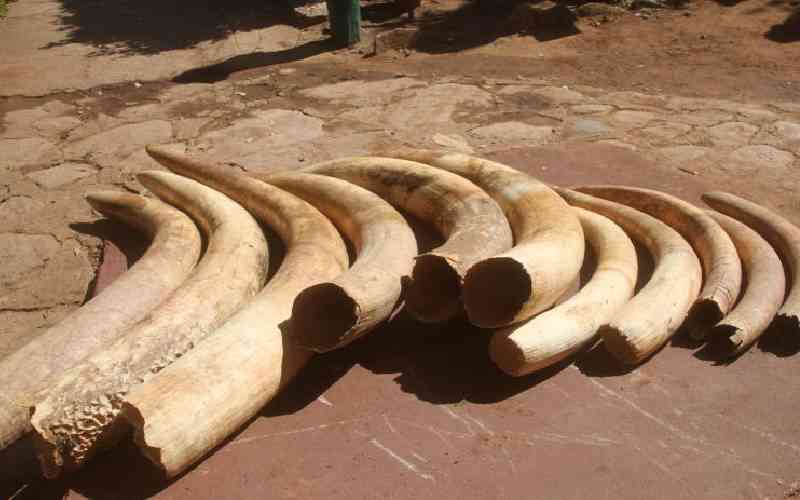 Kenya's proposal to establish a separate fund for non-commercial disposal of ivory stockpiles shot down