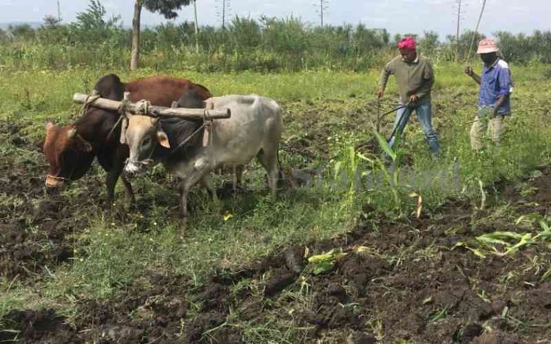  Irrigation policy review targets food security gaps