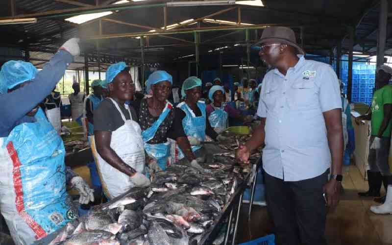 Firm seeks to expand fish production in Lake Victoria