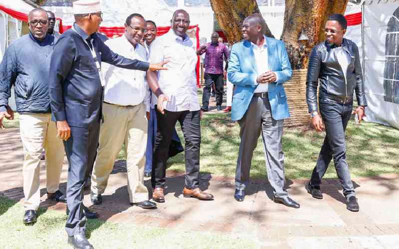 Why did you come with your personal assistants?  Ruto reads the riot act to Cabinet