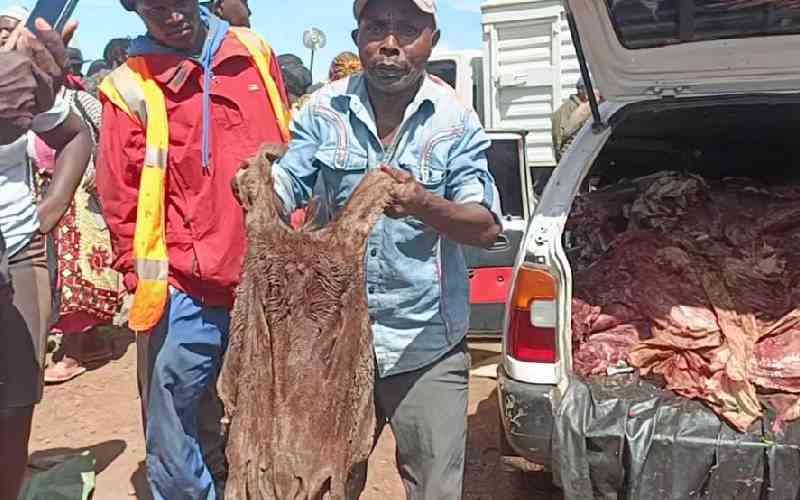 One person arrested,20 Donkey skins,meat found in his vehicle