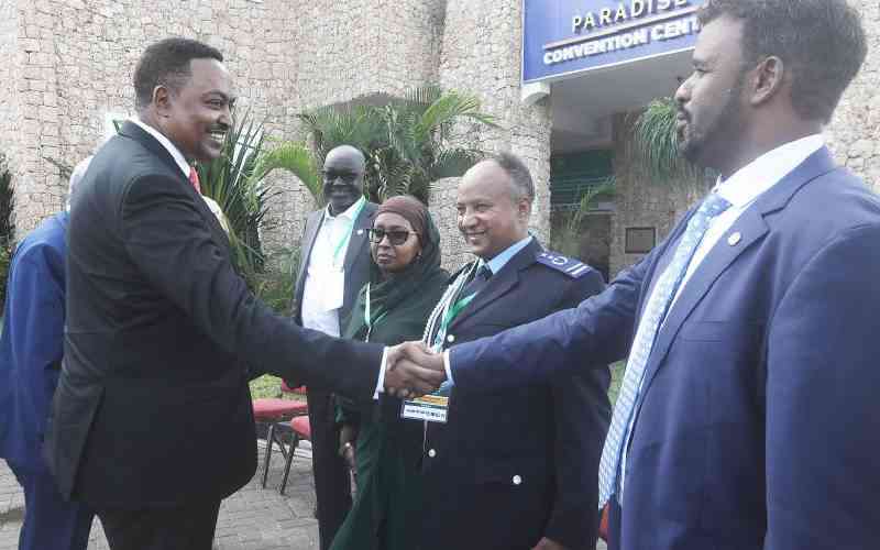 Igad in fresh push to combat r...