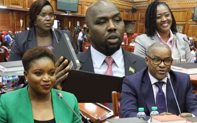 Vetting reveals MPs' inability to prod cabinet