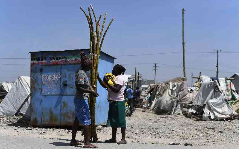 'Poverty not a crime': Businesswoman challenges Sh15m civil jail term