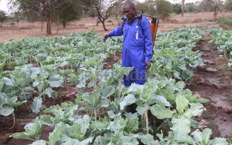 Revealed: Kenya spends Sh11b to import toxic pesticides annually