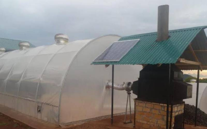 Farmers bank on solar dryers to reduce post harvest losses