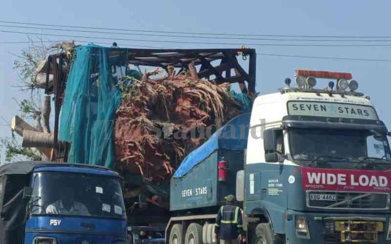 Protest, relief as ship with baobab trees sails