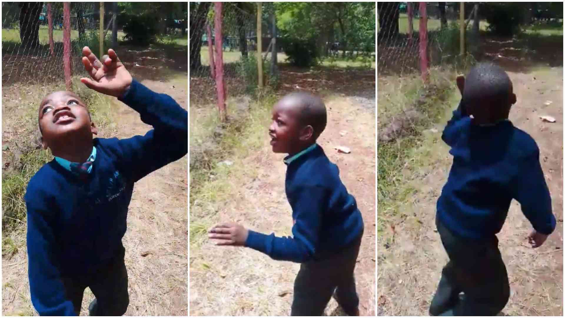 Jambojet gifts mother, son staycation after viral clip of son admiring plane