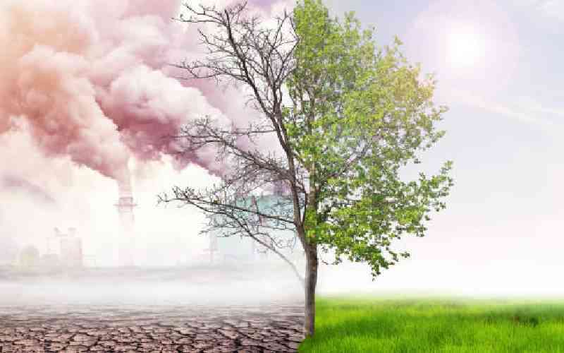 Nairobi to host farming community in June, to discuss climate change, AI
