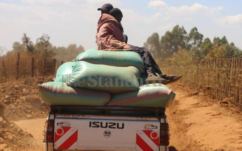Maize shortage continues to bite as traders source it from neighbouring states