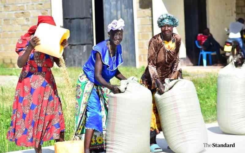 New rice mill revamps rice farming in Siaya
