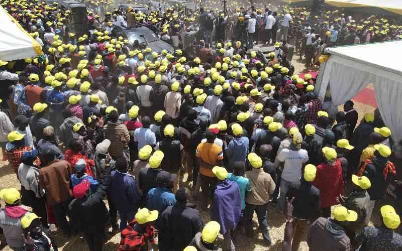 Ruto allies hit out at opposition over Dangote refinery