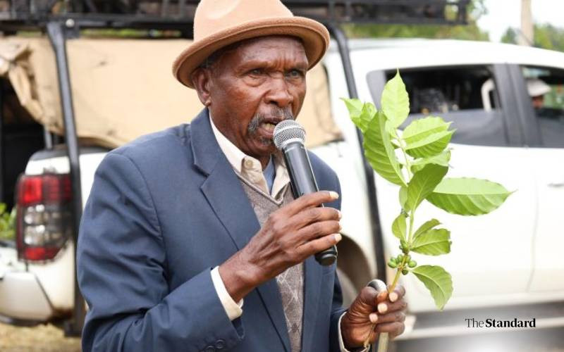 Two coffee societies in Laikipia earn Sh4.3 million in sales