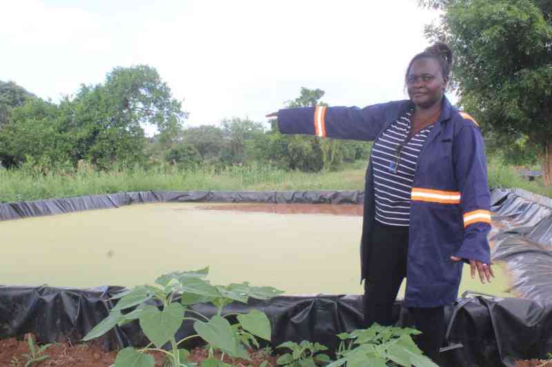 Irrigation tech turns Kitui farm into green haven