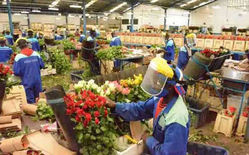 Farmers reject Nakuru county's Sh400 per ton cess on flower exports