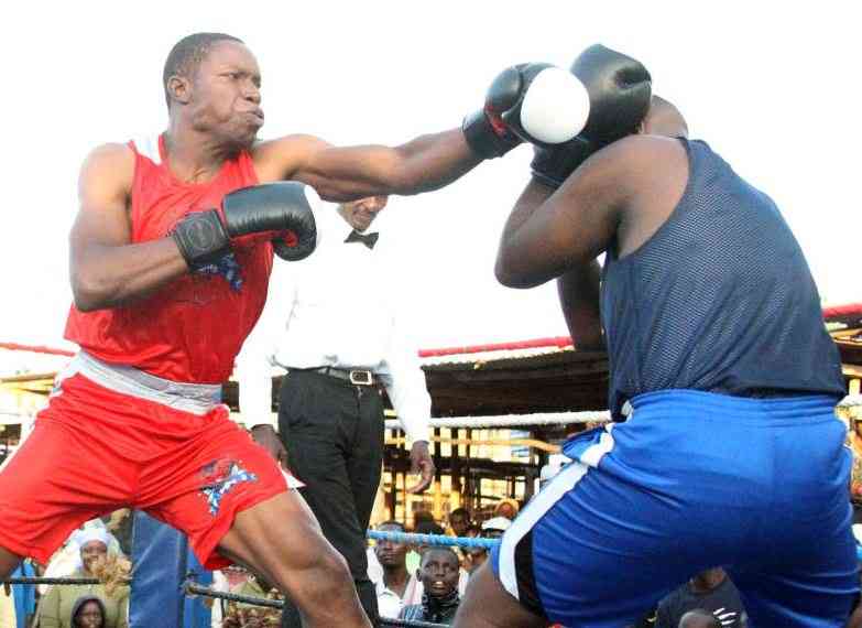 More branches head for counties Novices bouts to pick teams