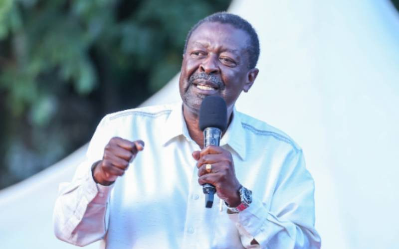 Ruto rewards Malava UDA aspirants with diplomatic posts ahead of Thursday's by-election