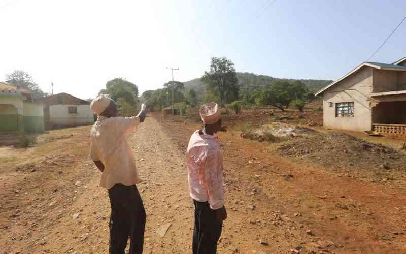 Mrima Hill rare earth project attracts new US-backed consortium