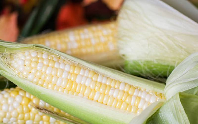Kenya has nothing to gain from GMO food imports, party warns