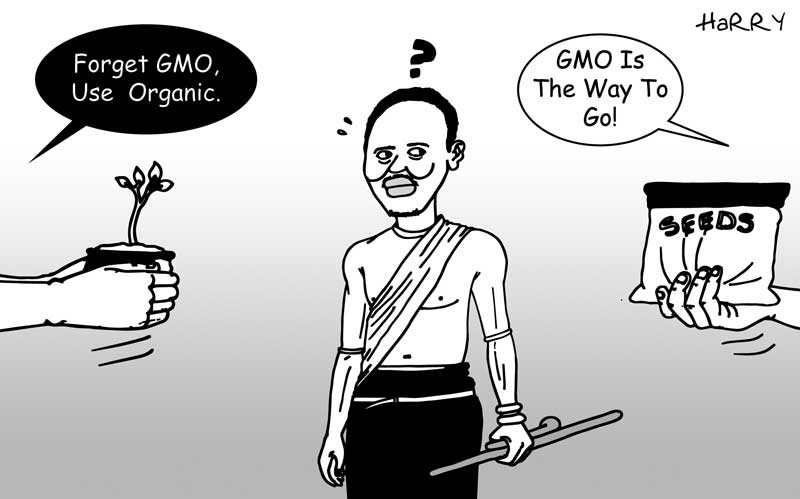 GMO vs organic