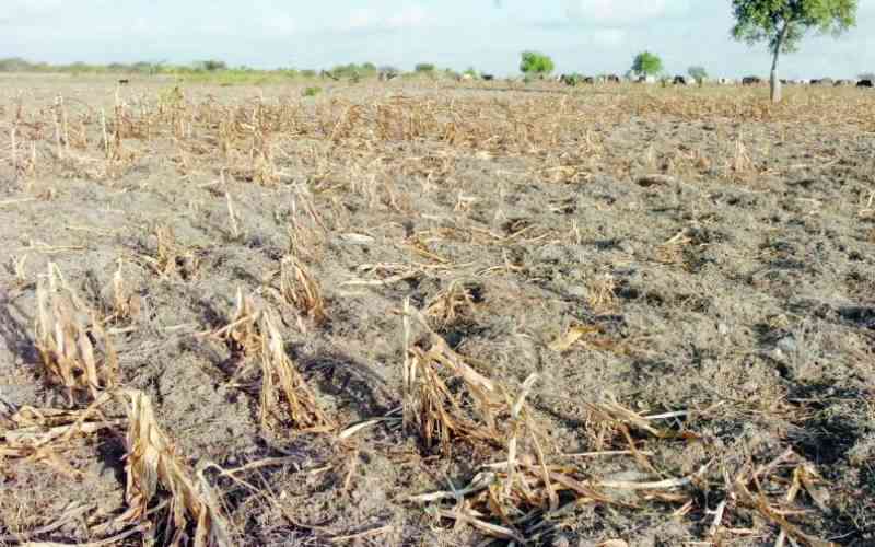 Parts of Kenya to face hotter, drier conditions in October to December- forecast
