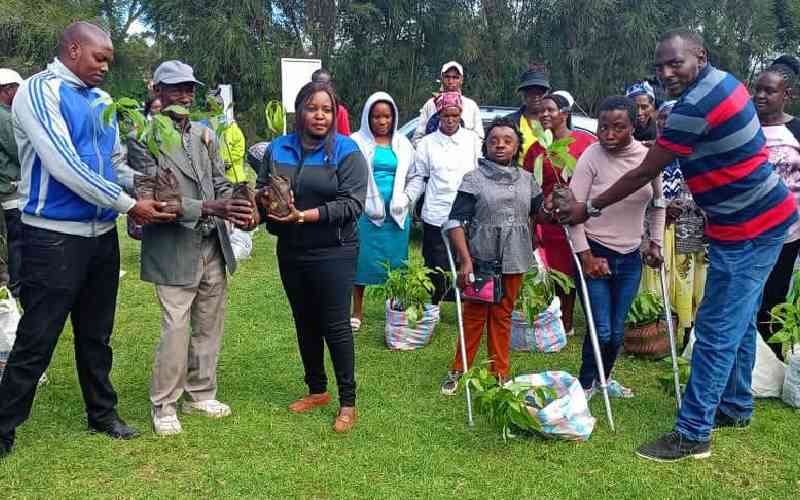 Nakuru distributes avocado seedlings in bid to increase production