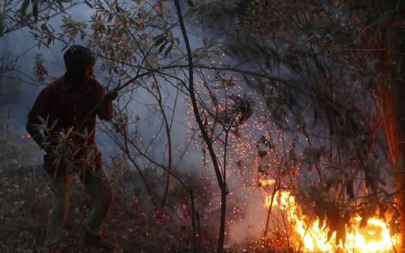 How wild fires are eating up Kenya's forest coverage