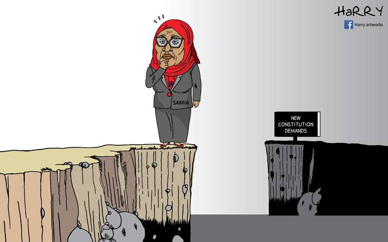 Samia vs New Constitution