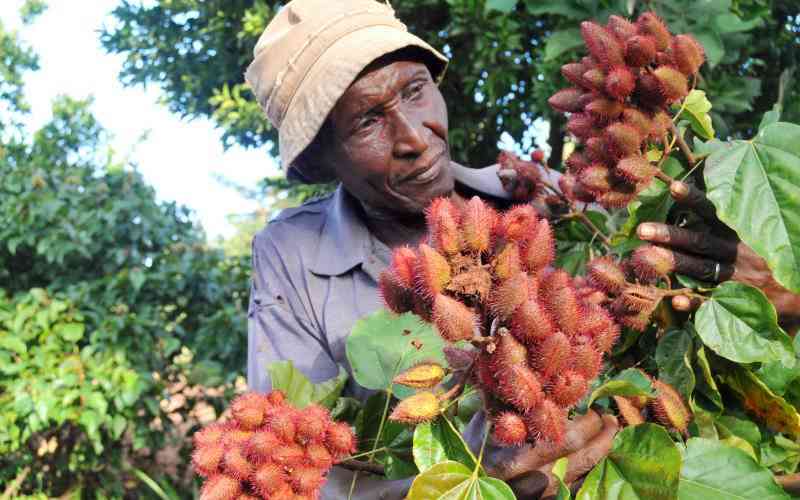 AFA outlines plans to revive bixa farming at the Coast
