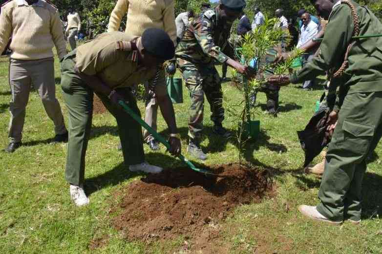 38 million trees planted as Meru races to restore degraded forests