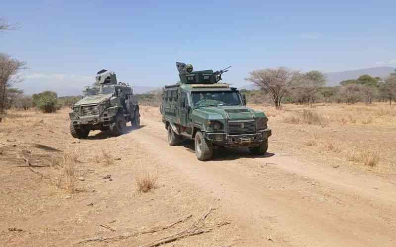 Bandits raid Turkana village, kill three, steal livestock