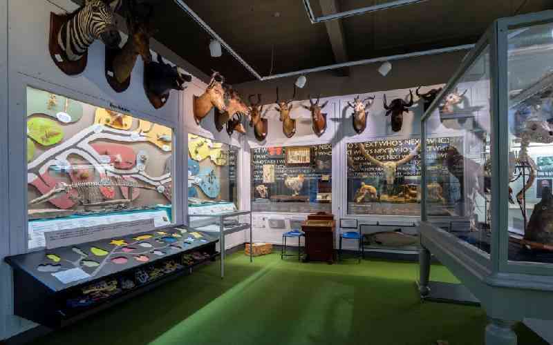 £100,000 for Cumbrian Museum to explore links with Kenyan community