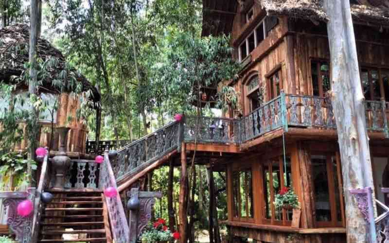 Ngong Tree House: Inspired by love for design, art