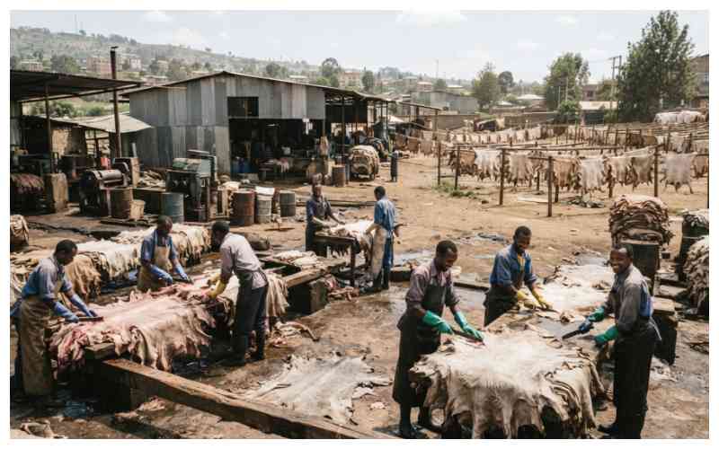 Reaping the best out of hides and skins
