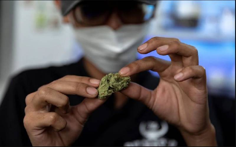 Thailand legalises growing and consumption of marijuana